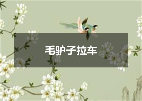 毛驴子拉车