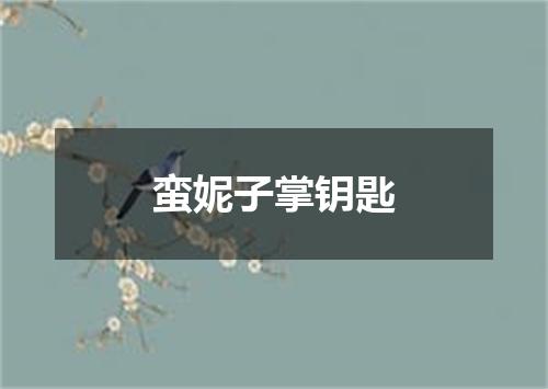 蛮妮子掌钥匙