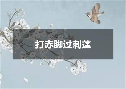 打赤脚过刺蓬