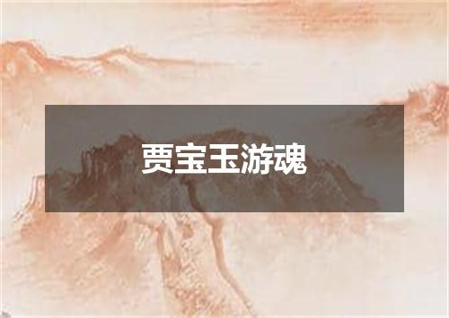 贾宝玉游魂