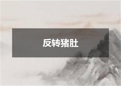 反转猪肚