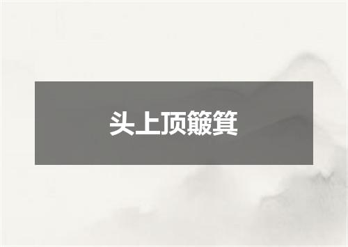 头上顶簸箕