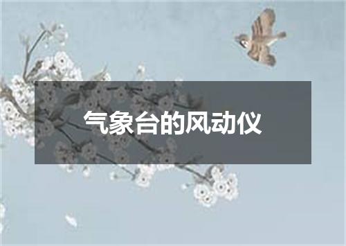 气象台的风动仪