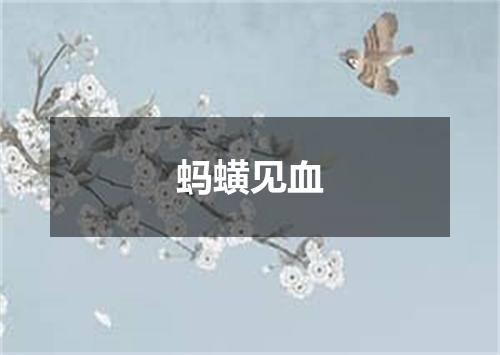 蚂蟥见血