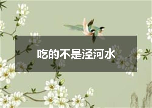 吃的不是泾河水