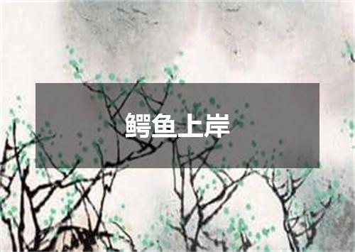 鳄鱼上岸