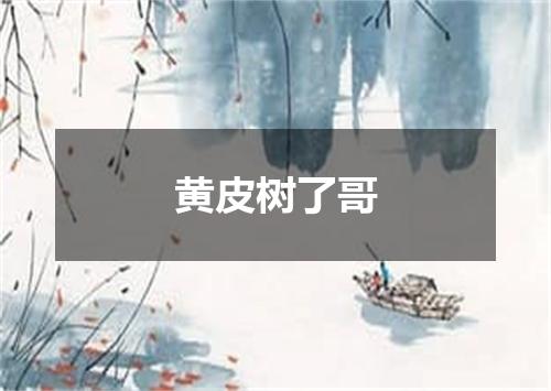 黄皮树了哥