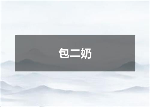 包二奶