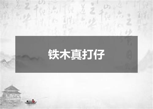 铁木真打仔