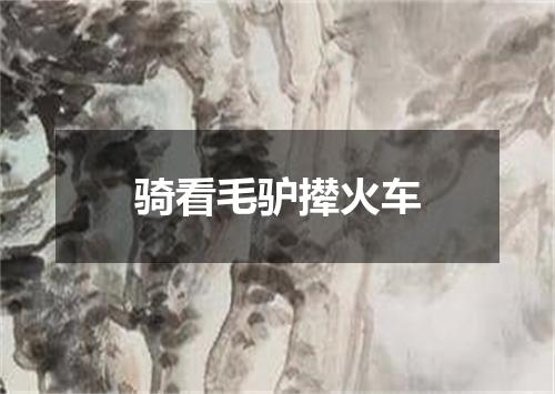 骑看毛驴撵火车
