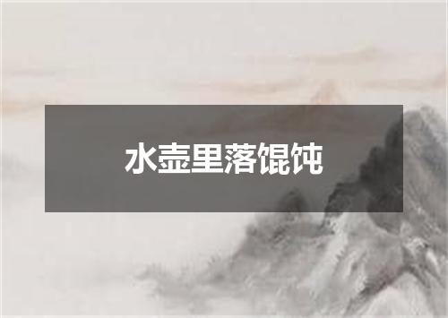 水壶里落馄饨