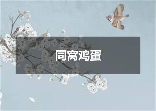 同窝鸡蛋