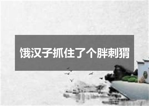 饿汉子抓住了个胖刺猬