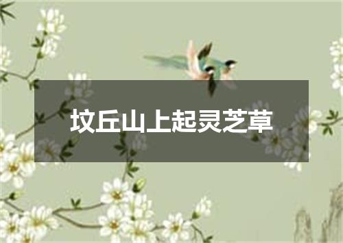 坟丘山上起灵芝草