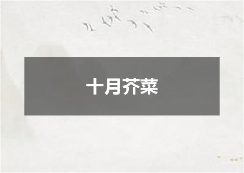 十月芥菜