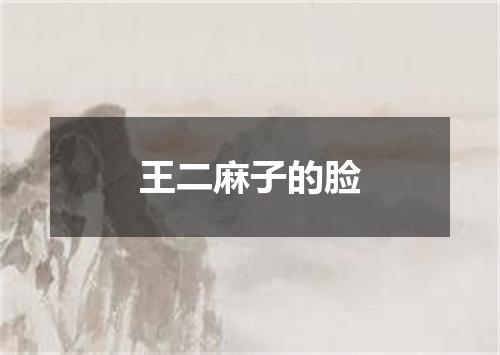王二麻子的脸