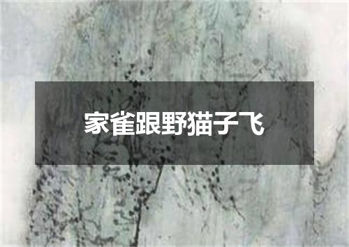 家雀跟野猫子飞