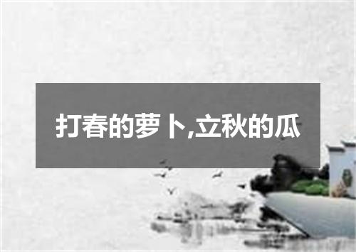 打春的萝卜,立秋的瓜