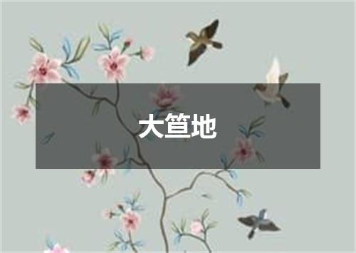 大笪地