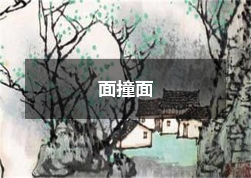 面撞面