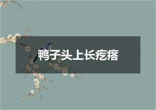 鸭子头上长疙瘩