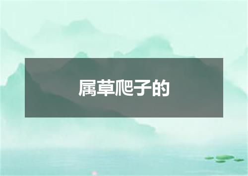 属草爬子的