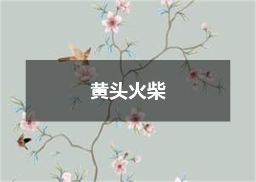 黄头火柴