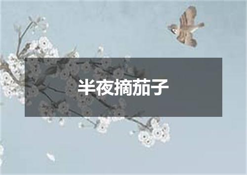 半夜摘茄子