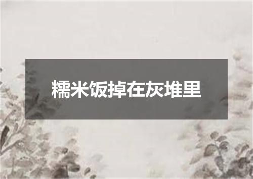 糯米饭掉在灰堆里