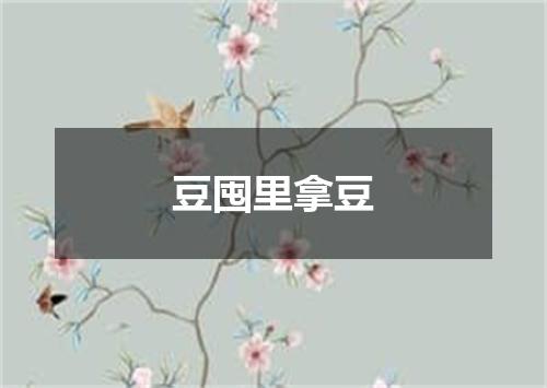 豆囤里拿豆
