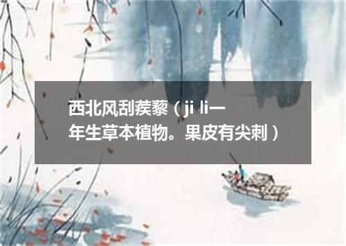 西北风刮蒺藜（ji li一年生草本植物。果皮有尖刺）