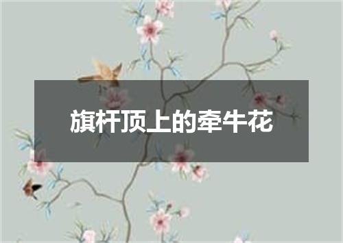 旗杆顶上的牵牛花