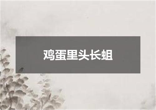 鸡蛋里头长蛆