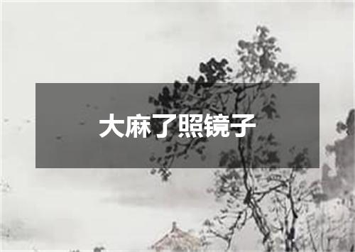 大麻了照镜子