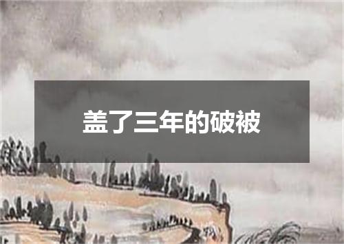 盖了三年的破被