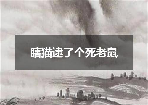 瞎猫逮了个死老鼠