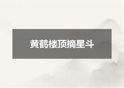 黄鹤楼顶摘星斗