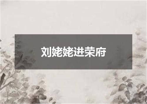 刘姥姥进荣府