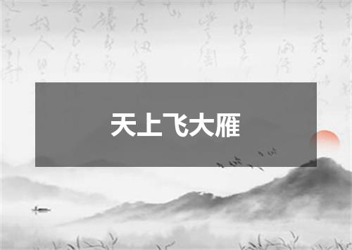 天上飞大雁