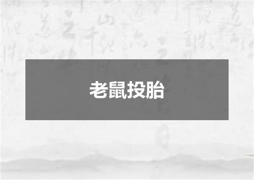 老鼠投胎