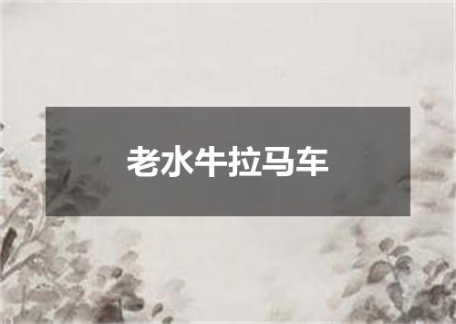 老水牛拉马车
