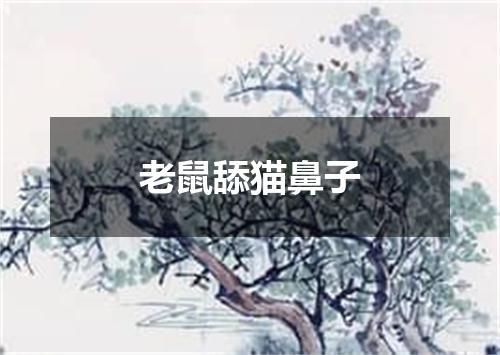老鼠舔猫鼻子