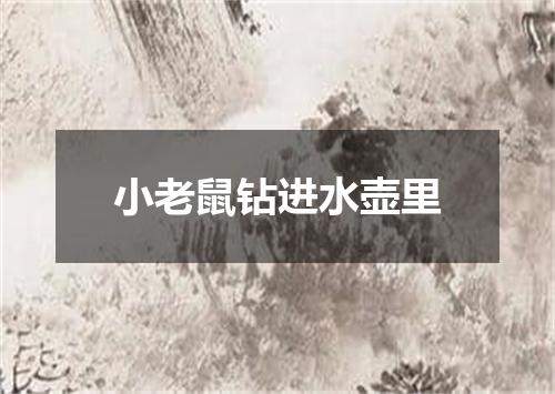 小老鼠钻进水壶里