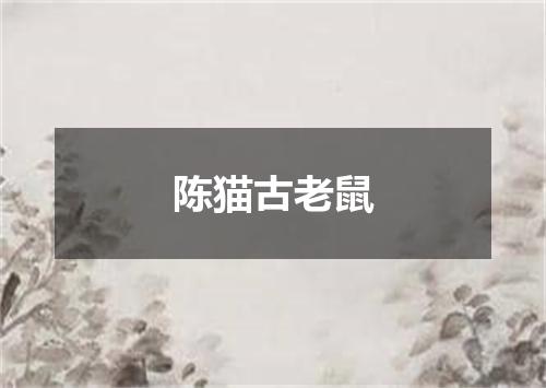陈猫古老鼠