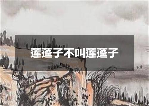莲蓬子不叫莲蓬子