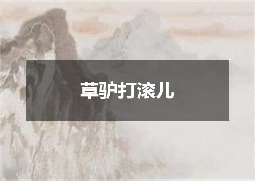 草驴打滚儿