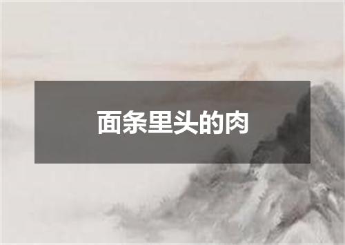 面条里头的肉