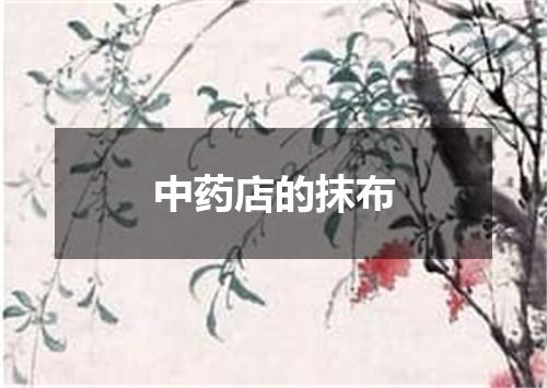 中药店的抹布