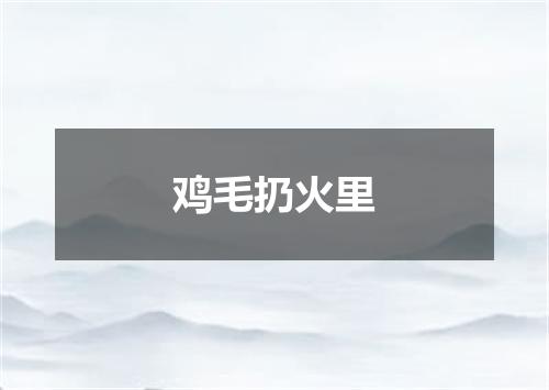 鸡毛扔火里
