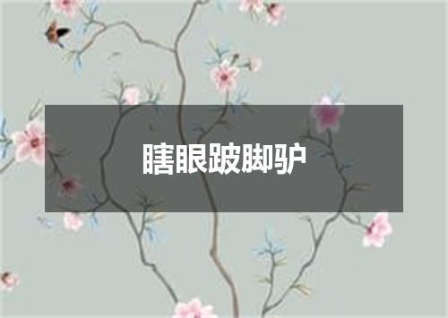 瞎眼跛脚驴